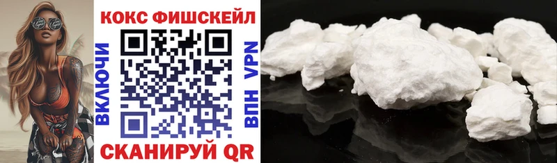 КОКАИН FishScale  магазин  наркотиков  Камышлов 