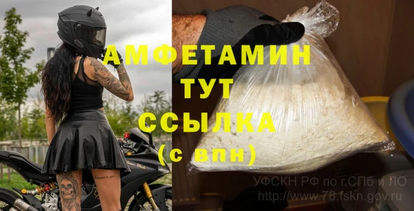 дмт Бородино