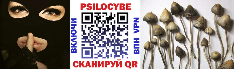 darknet как зайти  что такое наркотик  Камышлов  Галлюциногенные грибы прущие грибы 